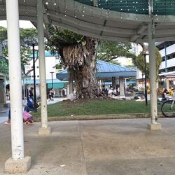 Blk 509 Bedok North Street 3 (Bedok), HDB 3 Rooms #555450921
